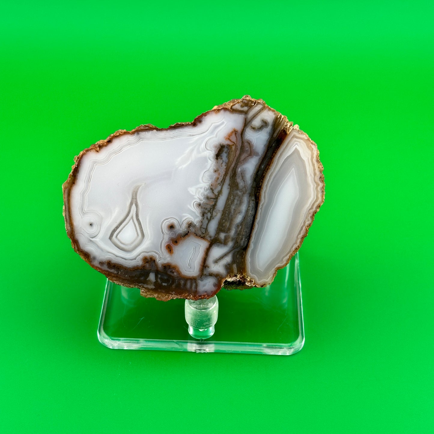 2.5" Three-Peg Acrylic Display Stand