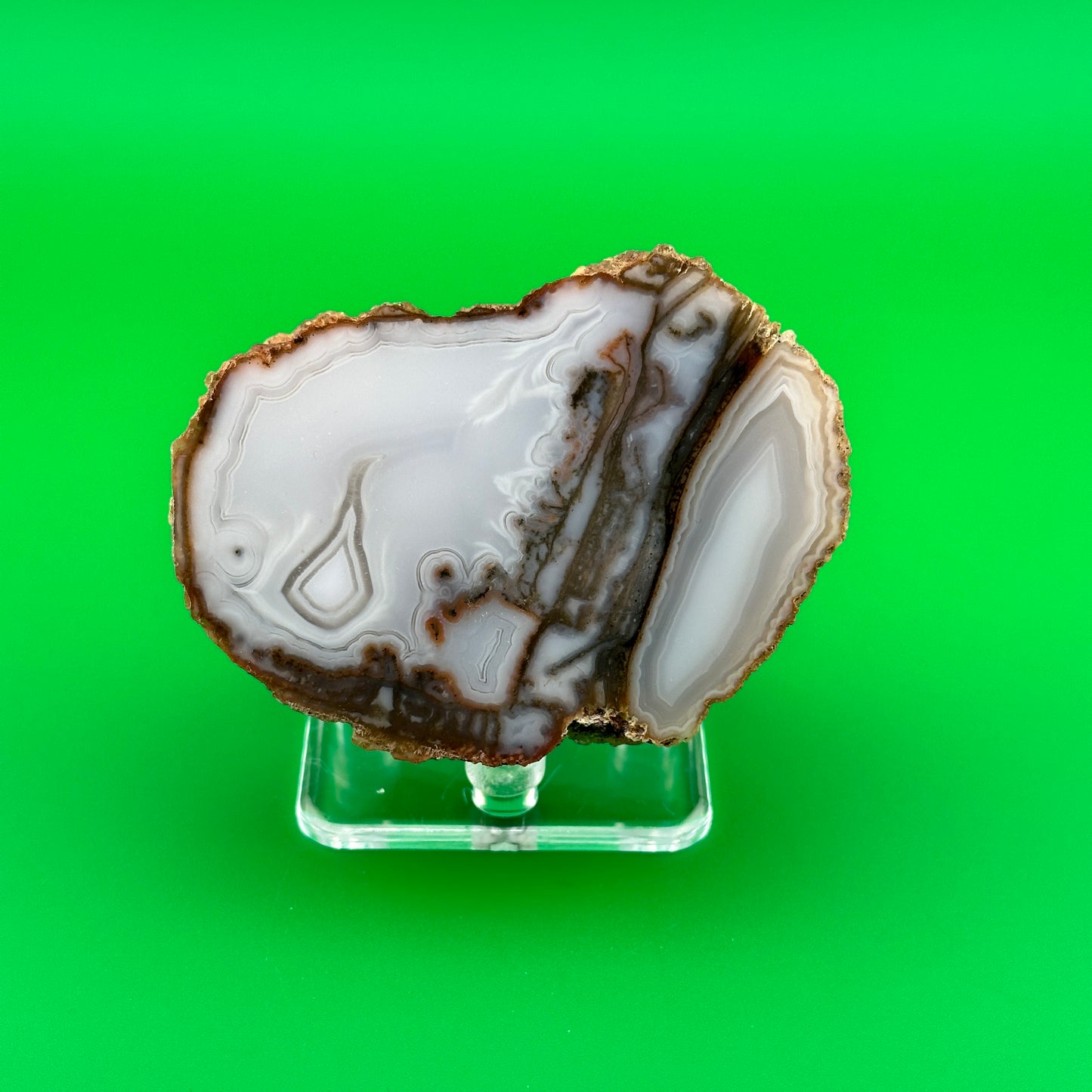 2" Three-Peg Acrylic Display Stand