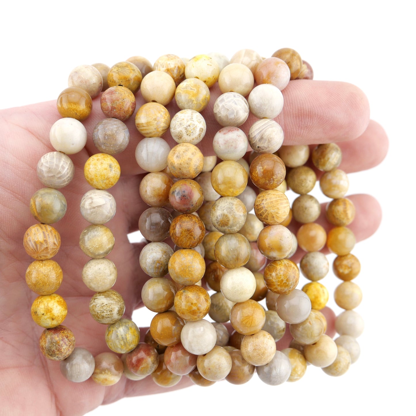 Fossil Coral 8mm Bracelet