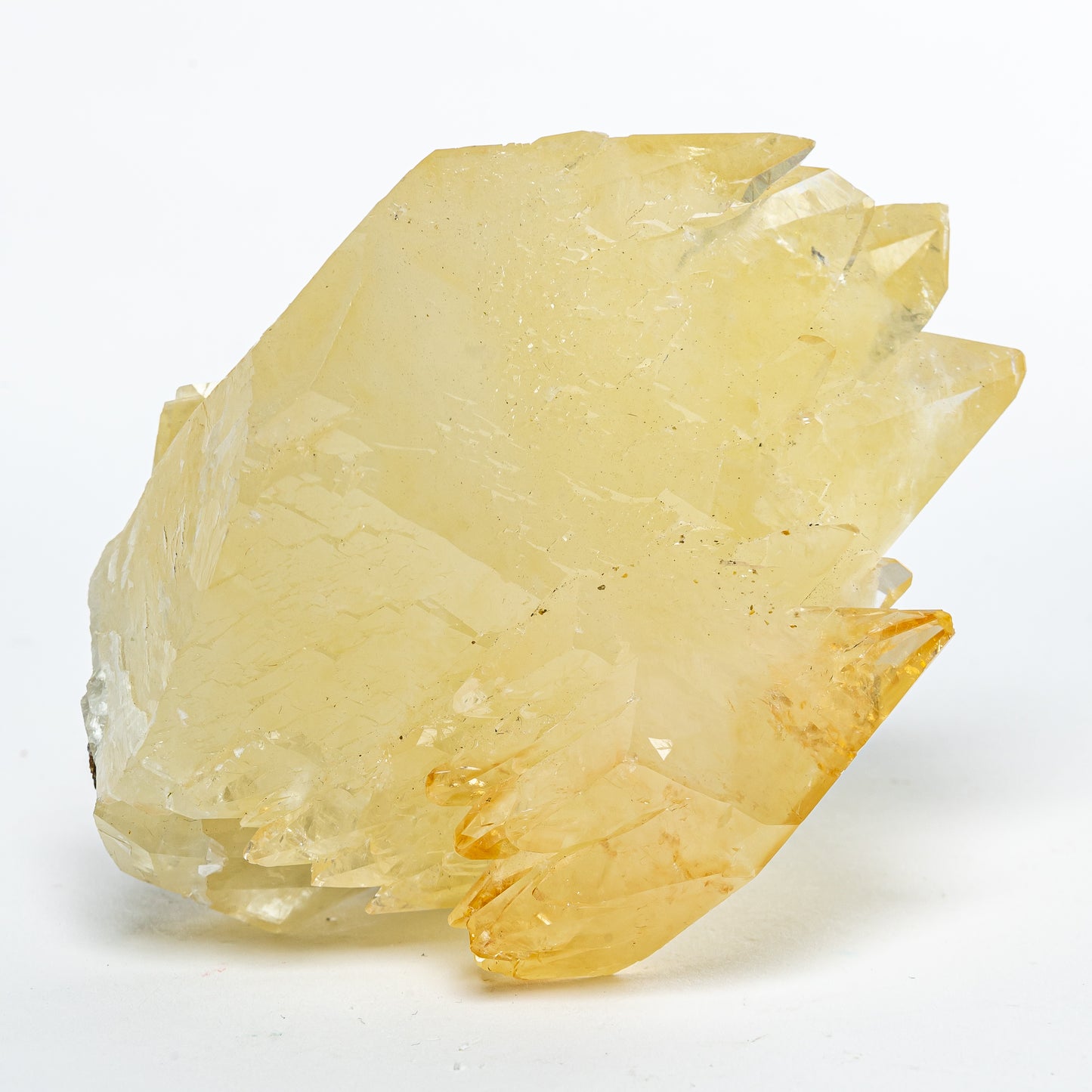 Elmwood Stellar Beam Calcite