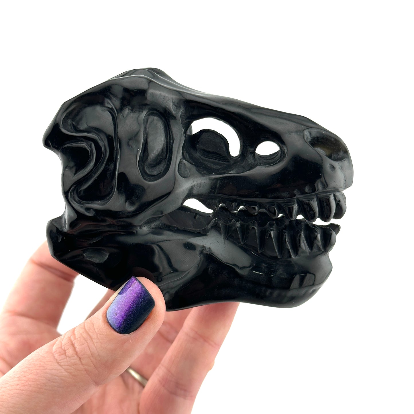 Black Obsidian T-Rex Skull