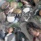 Palm Stone Grab Bag