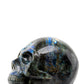 30 lb Labradorite Skull