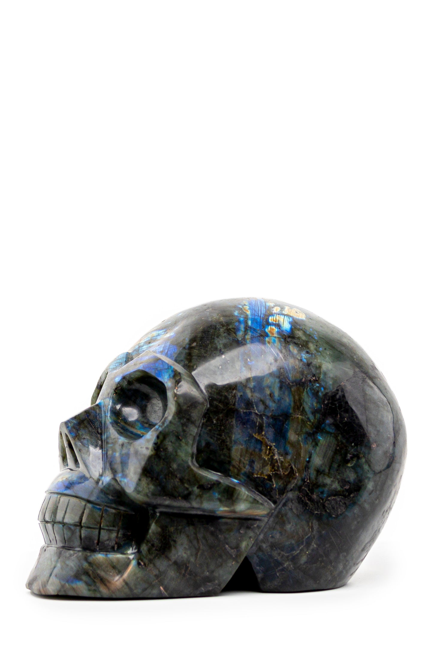 30 lb Labradorite Skull