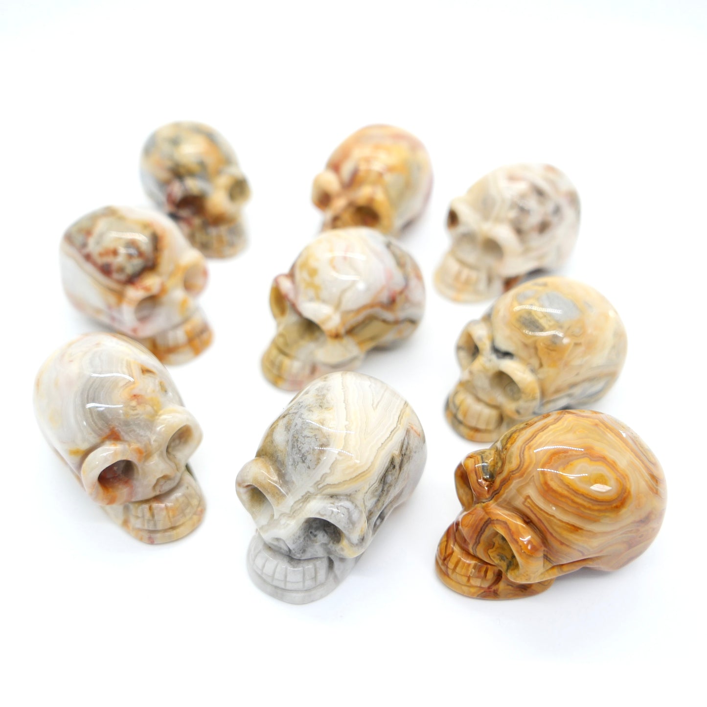 Crazy Lace Agate Skull