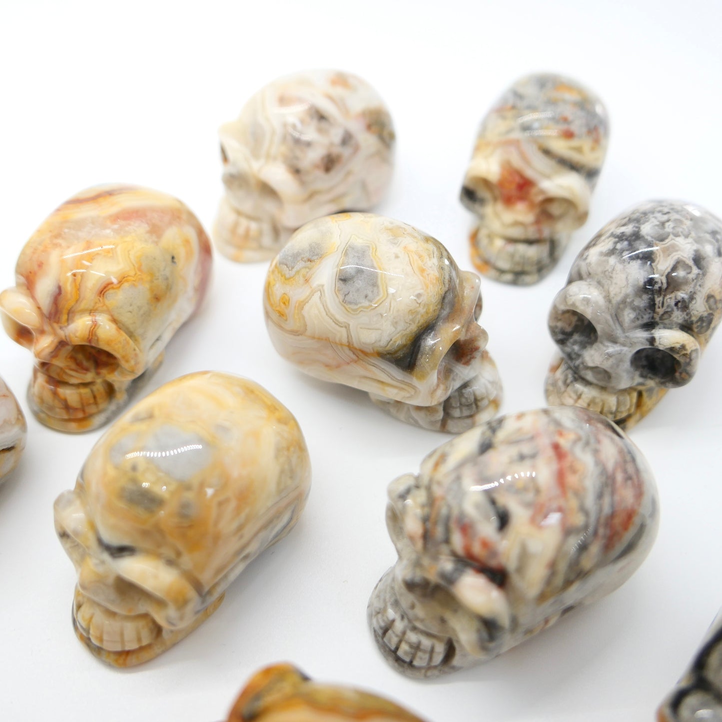 Crazy Lace Agate Skull