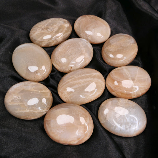 Moonstone Palm