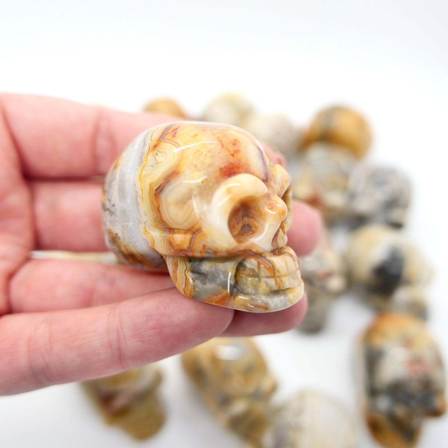 Crazy Lace Agate Skull