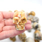 Crazy Lace Agate Skull