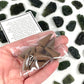 Moldavite Cone Incense